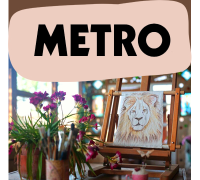 metro graphic.jpg